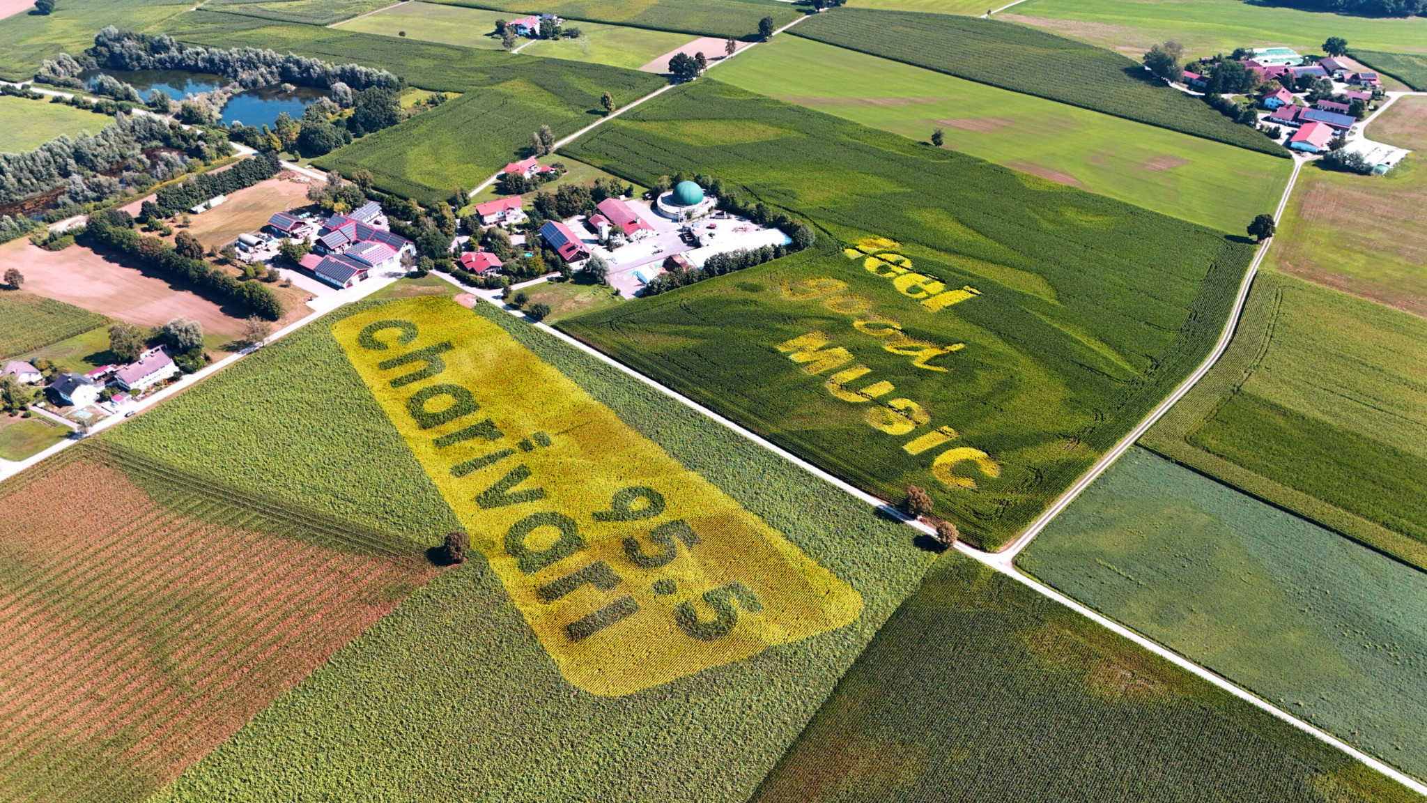 Radio Charivari 95.5 Ackerwerbung von GEOXIP mit gelben Sonnenblumen und Feldblumen – großflächiger Schriftzug als Field Ad und Geobranding auf landwirtschaftlicher Fläche im Raum München